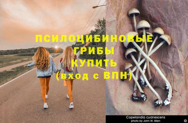 каннабис Волоколамск