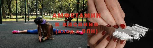 гидра Володарск