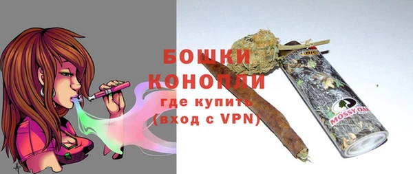 гидра Володарск