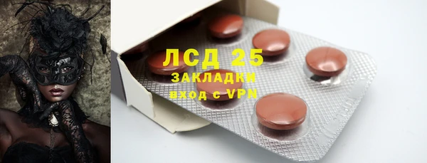 гидра Володарск