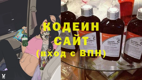 гидра Володарск