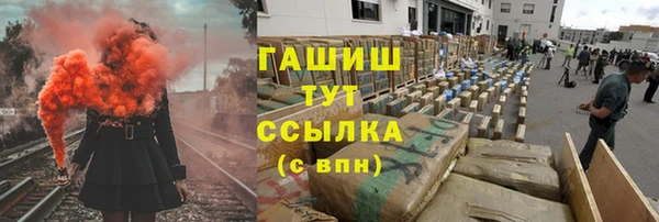 гидра Володарск